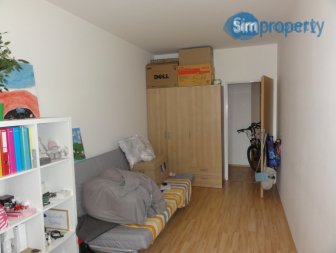 Cozy 2+kk apartment with parking space and balcony
