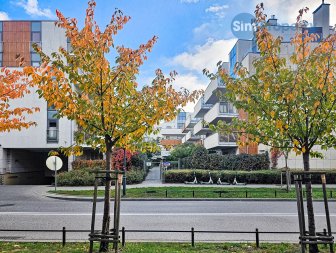 2 bed apartment Wilanów