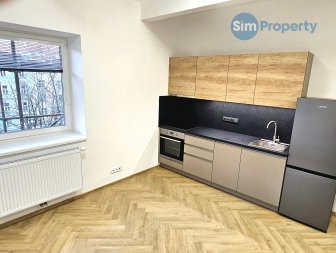 Bright and spacious 2+kk in a newly renovated villa on Pod Kesnerkou street