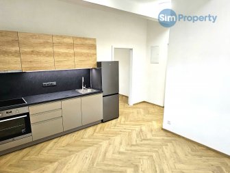 Bright and spacious 2+kk in a newly renovated villa on Pod Kesnerkou street