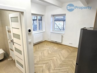 Bright and spacious 2+kk in a newly renovated villa on Pod Kesnerkou street