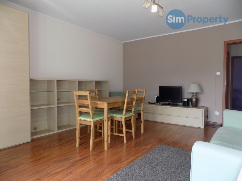 Comfortable apartment in the city centre