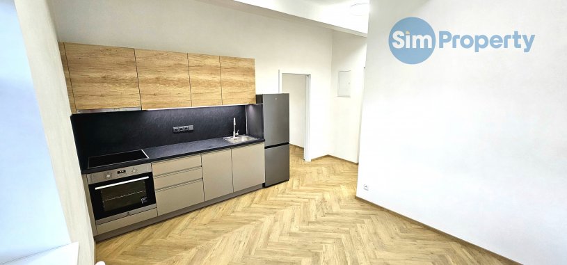 Bright and spacious 2+kk in a newly renovated villa on Pod Kesnerkou street