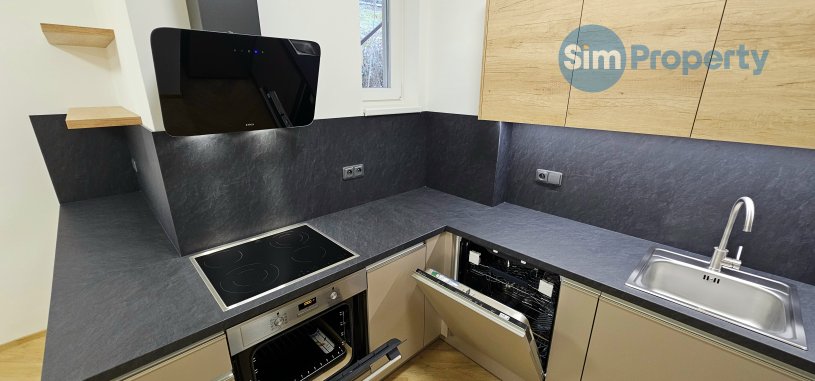 Bright and spacious 3+kk in a newly renovated villa on Pod Kesnerkou street, 64m2 + 15m2 private terrace