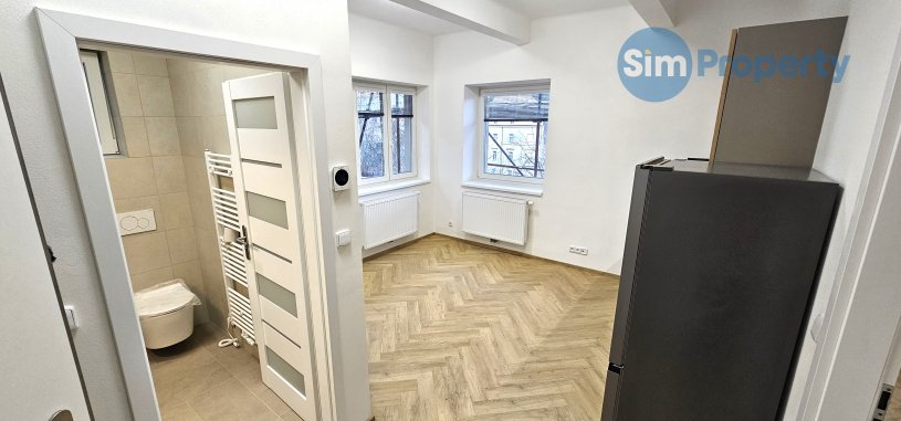 Bright and spacious 2+kk in a newly renovated villa on Pod Kesnerkou street